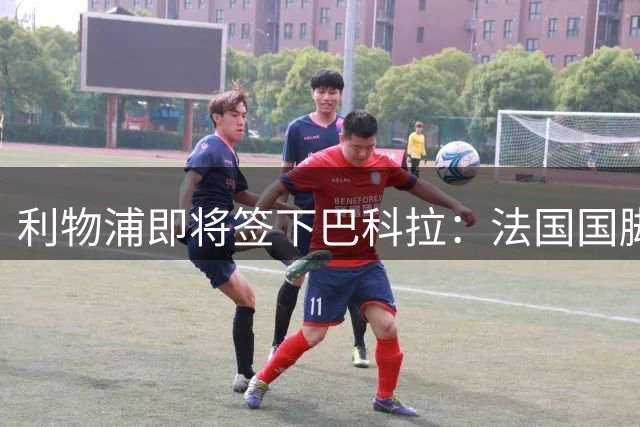 利物浦即将签下巴科拉：法国国脚今天飞抵英格兰，总价约1.4亿欧
