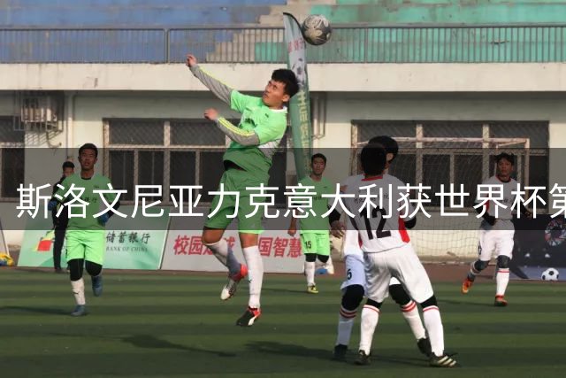 斯洛文尼亚力克意大利获世界杯第七 东契奇准三双建功